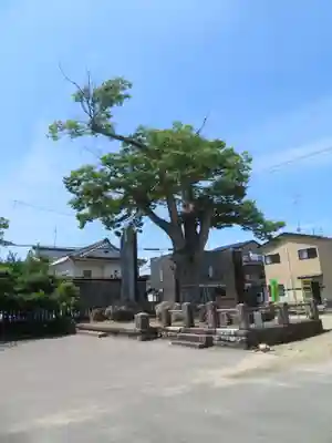 天照神明宮(福島県)