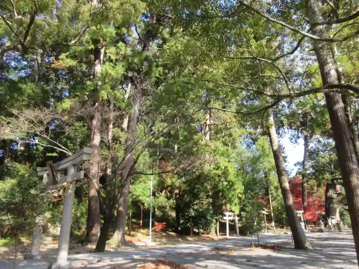 事任八幡宮の自然