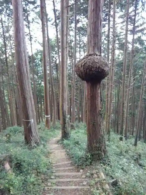 今熊神社の庭園