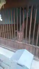 白山神社の狛犬