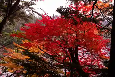 大瀧神社(長野県)
