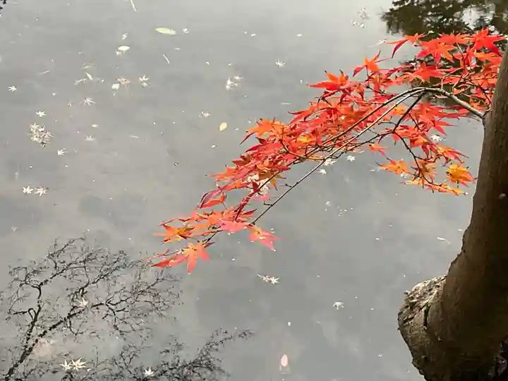 題経寺(柴又帝釈天)(東京都)
