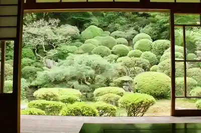 龍国寺の庭園
