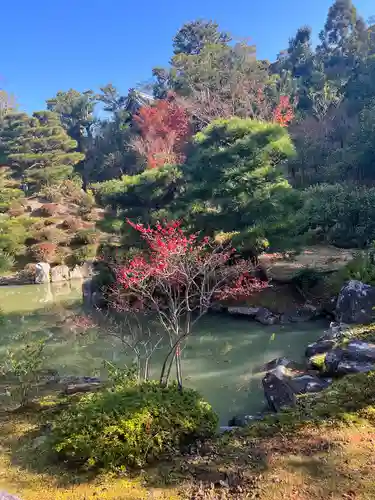  智積院(京都府)