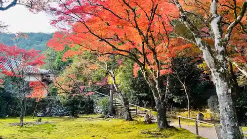 神護寺(京都府)