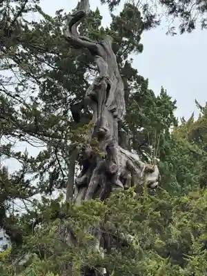 建長寺(神奈川県)