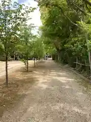 小垣江神明神社の自然