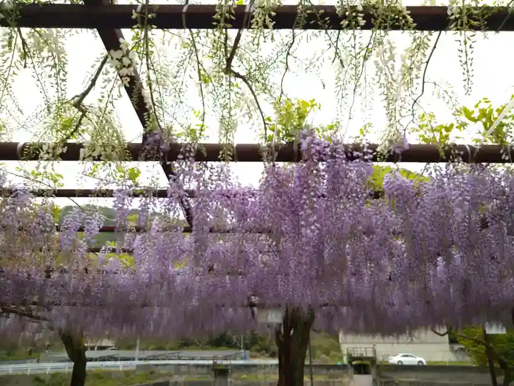 和氣神社(和気神社)の自然