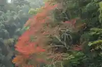 見渡神社の自然