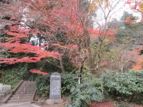 妙本寺の庭園