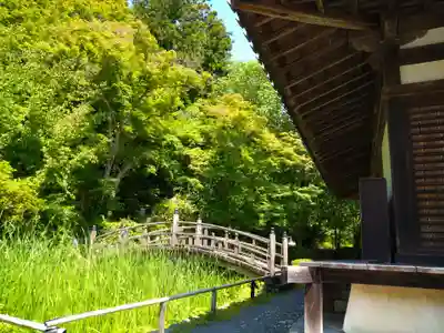 観心寺(大阪府)