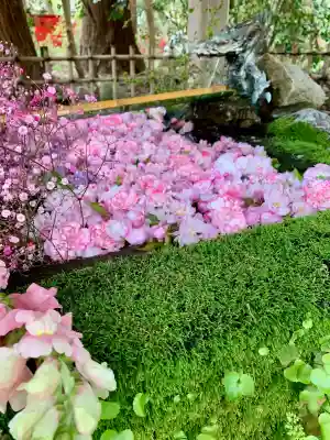 伊佐須美神社(福島県)