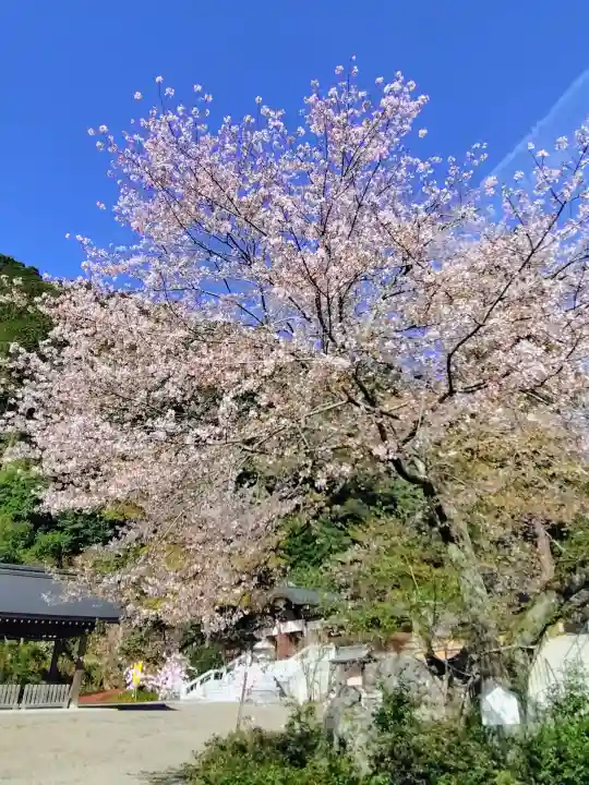 高麗神社(埼玉県)
