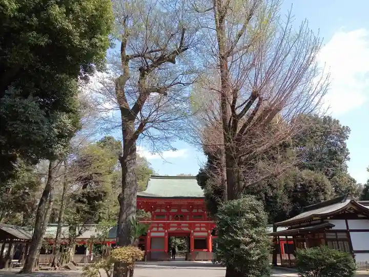 井草八幡宮(東京都)
