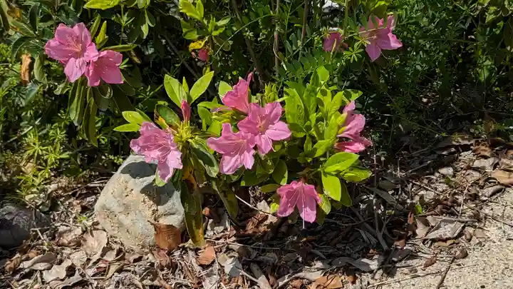 惠心院(京都府)