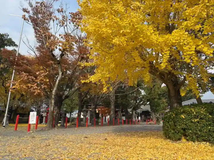 美奈宜神社(福岡県)