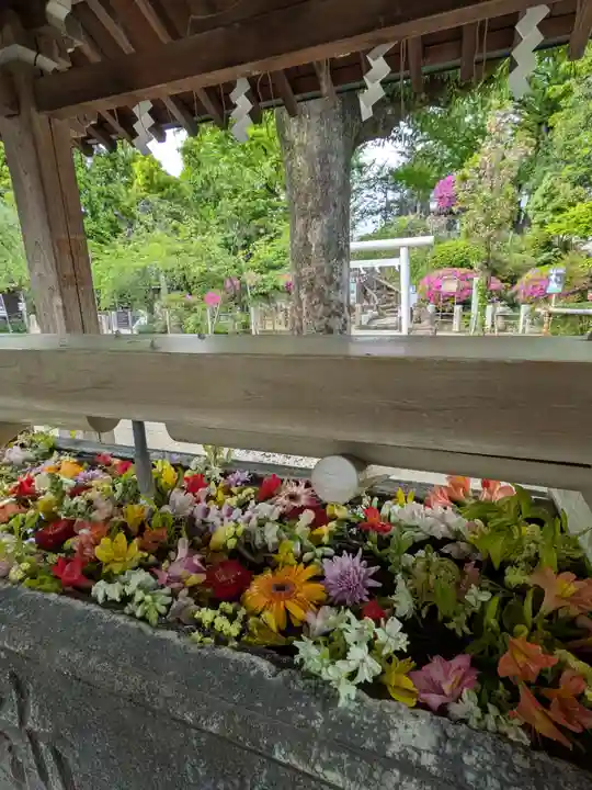 鳩森八幡神社(東京都)