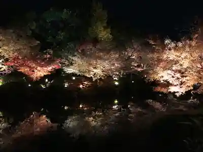 東寺（教王護国寺）(京都府)