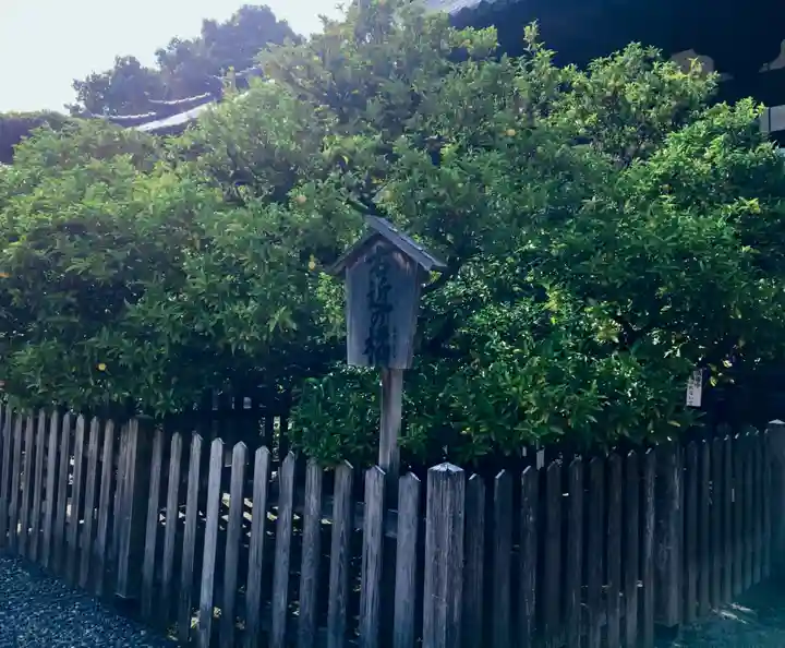 誉田八幡宮の自然