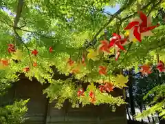 滑川神社 - 仕事と子どもの守り神(福島県)