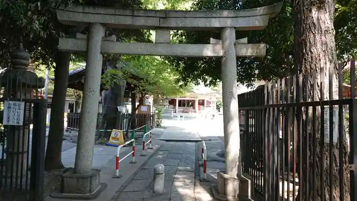 荻窪白山神社の鳥居
