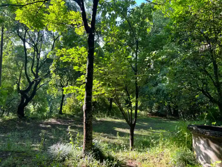 大宮温泉神社(栃木県)