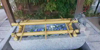 晴明神社の手水舎