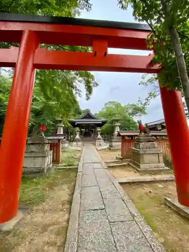 竹中稲荷神社（吉田神社末社）の鳥居