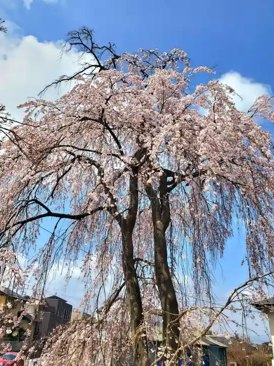 妙林寺(福島県)