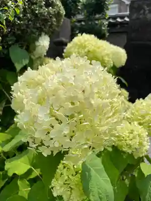 一乗寺(東京都)