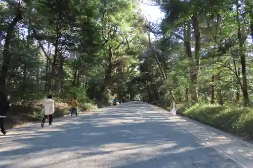 明治神宮(東京都)