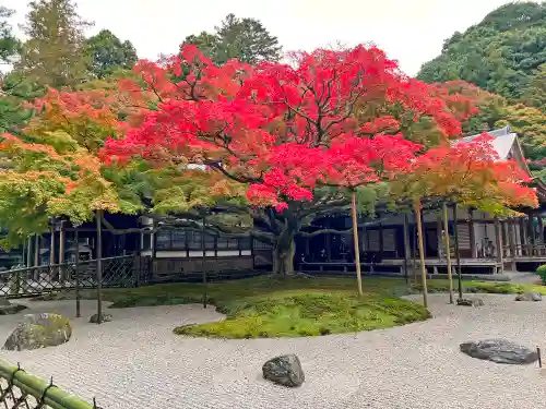 千如寺大悲王院(福岡県)