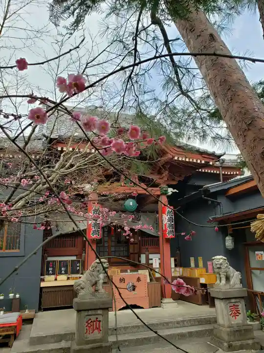 陽運寺の本殿・本堂