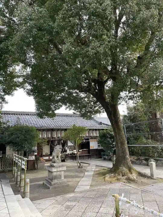 縣神社(京都府)