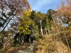 阿久津「田村神社」（郡山市阿久津町）旧社名：伊豆箱根三嶋三社の庭園