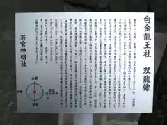 白金龍王社(愛知県)