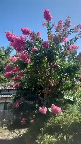 龍馬神社(岐阜県)