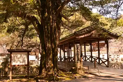 佛通寺(広島県)