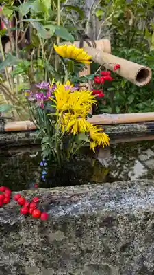 宝蔵寺(京都府)
