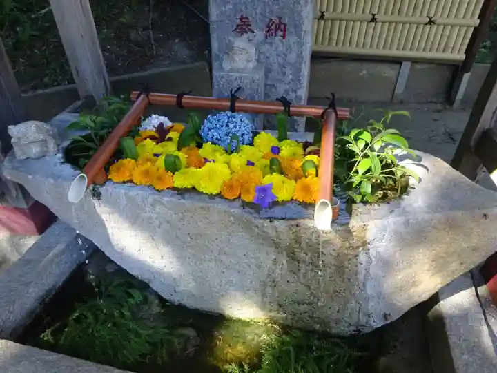 田間神社(千葉県)