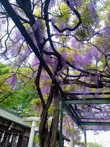 國領神社(東京都)