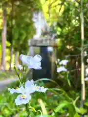 別所神社の自然