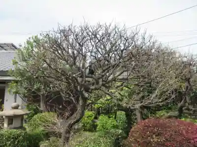 金剛院(東京都)