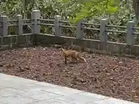 砂川神社(北海道)