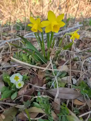 豊景神社(福島県)