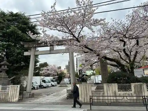 玉姫稲荷神社の鳥居