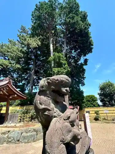 中野沼袋氷川神社(東京都)