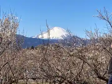八幡社(小田原市曽我別所)(神奈川県)