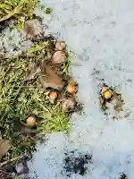 文月地蔵堂の{uncategorized: "未分類", other: "その他", undefined: "問題あり", building: "その他建物", grave: "お墓", sacred_gate: "鳥居", guardian: "狛犬", statue: "像", buddha: "仏像", history: "歴史", nature: "自然", garden: "庭園", animal: "動物", pagoda: "塔", temizu: "手水舎", mountain_gate: "山門・神門", sanctuary: "本殿・本堂", subordinate: "末社・摂社", art: "芸術", scenery: "景色", jizo: "地蔵", ema: "絵馬", goshuin: "御朱印", omikuji: "おみくじ", items: "授与品その他", amulet: "お守り", goshuincho: "御朱印帳", eats: "食事", festival: "お祭り", votive_dance: "神楽", shichigosan: "七五三参", wedding: "結婚式", experience: "体験その他", initially: "初詣", around: "周辺", anti_infection: "感染症対策"}