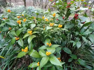 宝満宮竈門神社(福岡県)